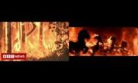 terminator 2 forest fires
