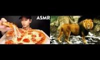 Lion Eating Pizza ASMR