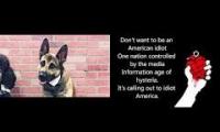 Green Doggo - American Idiot