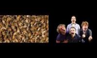 Thumbnail of Bee Swarm Killing People ASMR