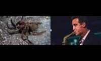 Thumbnail of Saxophone Tarantula Molting
