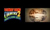 Donkey Kong Country 2 House Mix
