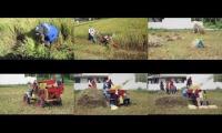 Thumbnail of Rice harvest Malolos, Philippines 03/2020 Covid19 Quarantine