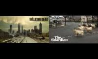 Mix z kozami z Walking Dead