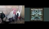 death metal rooster [Meshuggah]