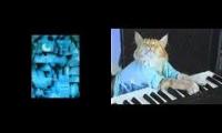 piano cat [jazz version]