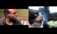 Amazed Cat + Best Cry Ever