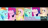 The Pony Hamsterdance and midi