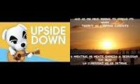 Jack Johnson - Upside Down x K.K Slider (manual millisecond syncing required)