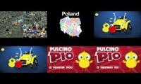 Pulcino Pio 8 Languages 2