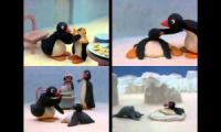 Pingu Episodes at Once Quadparison 1