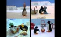 Pingu Episodes at Once Quadparison 3