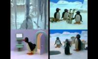 Pingu Episodes at Once Quadparison 5