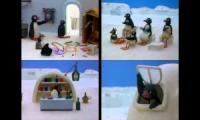 Pingu Episodes at Once Quadparison 6