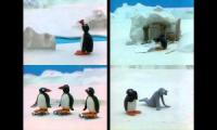 Pingu Episodes at Once Quadparison 8