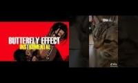 Travis Cat Effect (laflame edition)