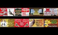 Thumbnail of Best of the best pigeon racing