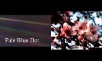 Carl Sagan / Shenmue - Sedge Flower / Pale Blue Dot