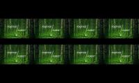ID 3 #FOOTAGE​#FOREST​ Beautiful Forest