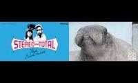 Thumbnail of stereo walrus yeah man