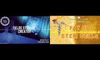 Fields storage Creator and Stem Cells