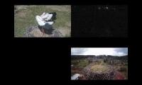 Élő gólyakamerák a világból