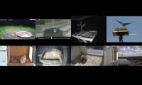birdsnestinglivestream46