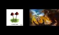 мир на пороге Сказки (Mushroom Jazz 2)