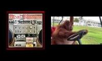Orangutan Driving a Golf Cart with One Hand to old-school hip hop