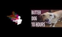 quixotic x butterdog