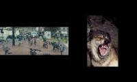 World War Z zombie attack and wolf