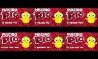 PULCINO PIO - Five to Six Languages at the Same Time!
