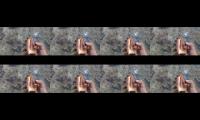 Thumbnail of Nyari siput kerang/lansung dimasak