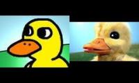 The Duck Song Comparison Original Vs IRL