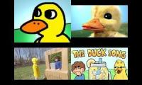 The Duck Song Quadparison