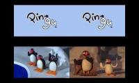 Pingu: Revival Series Episodes at Once Quadparison 13