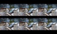 Thumbnail of Bencana alam terbeae