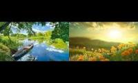 Thumbnail of Relaxing Zen Music for Stress Relief & Reduce Anxiety - Gentle Music For The Soul And Life