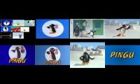 All the pingu intros at once