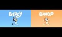 Bluey & Bingo Intros
