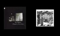 taku sugimoto - flagments of paradise (1997) + James Ferraro - Jarvid 9: Gecko [Full Album]