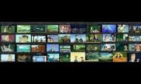 All 40 Wild Kratts Episodes at the same time