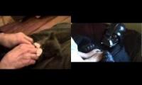 Ticklish/Surprised kitten and Dark Vador xD