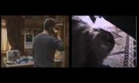 Epic cat and Shia Labeouf. No no no no no ...