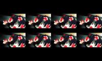 Thumbnail of KININARIMASU KININARIMASU KININARIMASU KININARIMASU KININARIMASU KININARIMASU KININARIMASU KININARIM