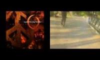 Panda bear vs pereft circle