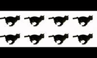 meow i'm a cat meow i'm a cat