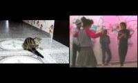 BBoy Kittens vs. Planet Rock