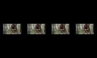 Savant - Redemption(unofficial video)