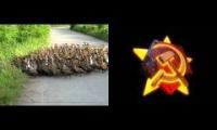 Soviet Ducks Hell March